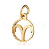 201 Stainless Steel Charms STAS-T036-T513-1-1