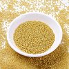 MIYUKI Delica Beads SEED-J020-DB2041-2