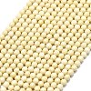 Natural Fossil Beads Strands G-A260-A35-01-2
