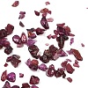 Natural Garnet Chip Beads G-M364-14-01-2