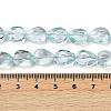 Transparent Glass Beads Strands GLAA-H038-03C-4