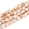 Natural Trochid Shell/Trochus Shell Beads Strands SSHEL-N040-13-1