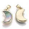 Natural Black Lip Shell Pendants KK-R112-005-NF-2