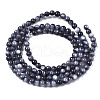 Natural Freshwater Shell Beads Strands X-BSHE-T009A-01L-3
