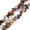 Natural Alashan Agate Beads Strands G-G905-18-1