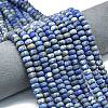 Natural Lapis Lazuli Beads Strands G-P575-A46-8x5mm-01-1
