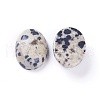 Natural Dalmatian Jasper Cabochons X-G-L511-E-02-2