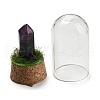 Natural Amethyst Bullet Display Decoration with Glass Dome Cloche Cover DJEW-B009-02B-2