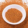 MIYUKI Delica Beads SEED-X0054-DB0681-2