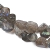 Natural Labradorite Beads Strands G-Q060-E20-01-4