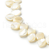 Natural Trochid Shell/Trochus Shell Beads Strands SHEL-F004-09-1