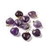 Natural Amethyst Pendants X-G-I311-A18-G-3
