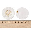 304 Stainless Steel ABS Imitation Pearl Stud Earrings for Women EJEW-M095-06G-02-3