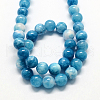 Natural Dyed Persian Jade Gemstone Bead Strands G-R271-8mm-XP15-1