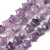Natural Lepidolite/Purple Mica Stone Star Beads Strands G-Z080-A02-2