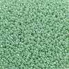 TOHO Round Seed Beads X-SEED-TR11-0144-2