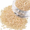 12/0 Grade A Round Glass Seed Beads SEED-Q011-F504-1