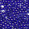 Glass Seed Beads SEED-H002-C-A048-3