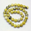 Natural Yellow Turquoise(Jasper) Beads Strands GSR10mmC007-2