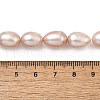 Natural Cultured Freshwater Pearl Beads Strands PEAR-I007-01F-07C-5