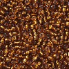 8/0 Glass Seed Beads SEED-A005-3mm-22C-2