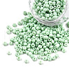 8/0 Baking Paint Glass Seed Beads SEED-R051-07B-08-1