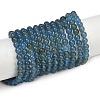 Watermelon Stone Glass Beads Strands G-F792-C14-07-2