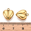 304 Stainless Steel Charms STAS-T065-80G-3