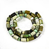 Natural Serpentine Beads Strands G-N346-03A-04-3