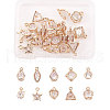 Alloy Cubic Zirconia Charms ZIRC-CJ0001-02LG-1