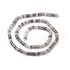 Natural Eagle Eye Stone Beads Strands G-H230-46-2