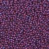 TOHO Round Seed Beads SEED-XTR11-0625F-2