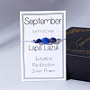Natural Lapis Lazuli Chip Beads Braided Bead Bracelets for Men Women WGC996D-10-1