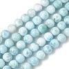 Natural Hemimorphite Beads Strands G-B141-01-6mm-2