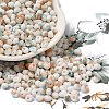 Baking Paint Glass Seed Beads X1-SEED-F006-01A-12-1