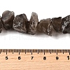 Natural Smoky Quartz Beads Strands G-I283-F13-5