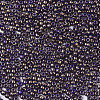 TOHO Round Seed Beads SEED-R049-1701-4