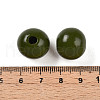 Painted Natural Wood Beads WOOD-A018-16mm-06-3