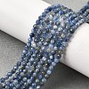 Natural Kyanite Beads Strands G-G259-D12-3mm-1