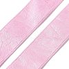 Imitation Leather Polyester Ribbon DIY-R050-02D-2