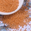 MIYUKI Round Rocailles Beads SEED-X0054-RR0423-1