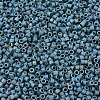 MIYUKI Delica Beads SEED-X0054-DB2316-2