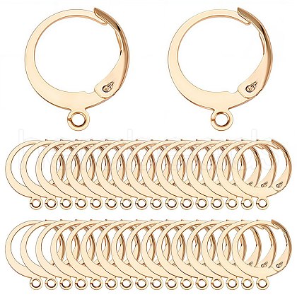 SUNNYCLUE 80Pcs 304 Stainless Steel Leverback Earring Findings STAS-SC0004-59G-1