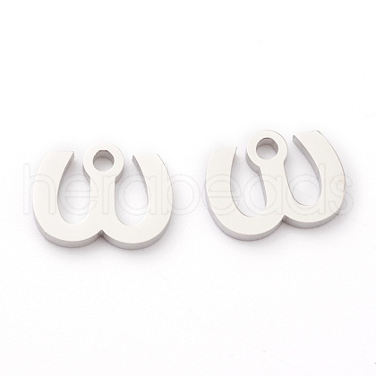 Non-Tarnish 304 Stainless Steel Charms STAS-G244-01W-1