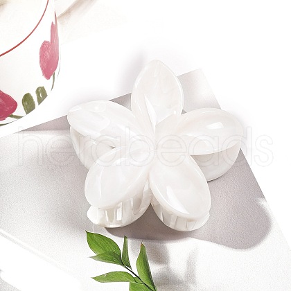 Resin Claw Hair Clips PW-WG0E0E6-02-1