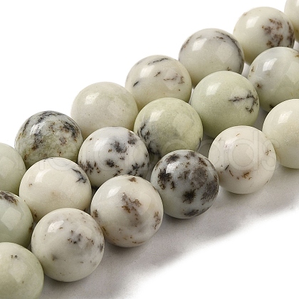 Natural Dendritic Jasper Beads Strands G-H298-A15-05-1