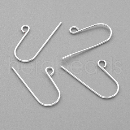 Sterling Silver Earring Hooks STER-G011-21-1