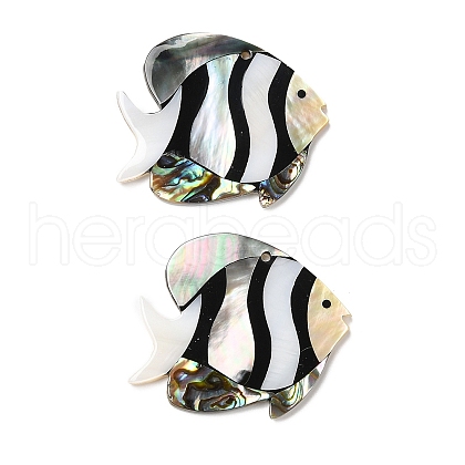 Natural Freshwater Shell & Black Lip Shell & Paua Shell Pendants X-SHEL-F007-14-1