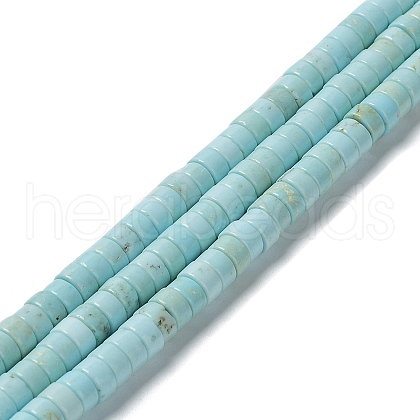 Natural Howlite Beads Strands G-E604-A04-B-1