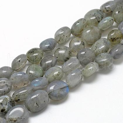 Natural Labradorite Beads Strands G-R445-8x10-20-1